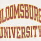 Vintage Y2K Champion Reverse Weave Bloomsburg University Crewneck Sweatshirt Mens L from propervintagecanada
