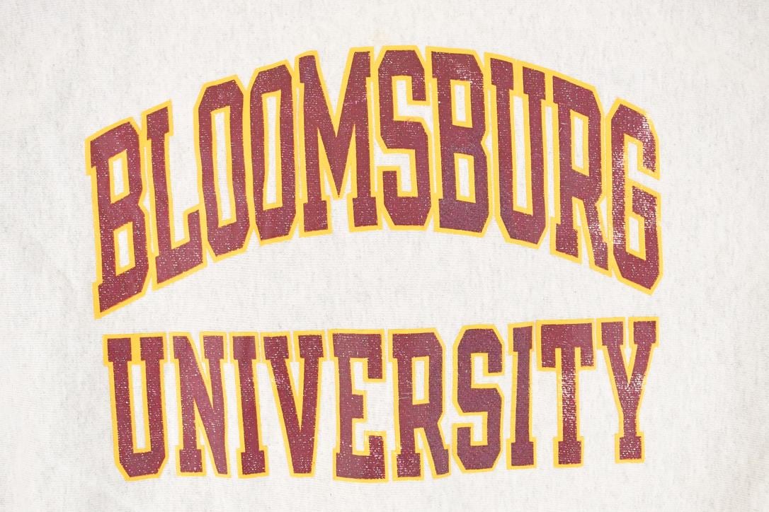 Vintage Y2K Champion Reverse Weave Bloomsburg University Crewneck Sweatshirt Mens L from propervintagecanada