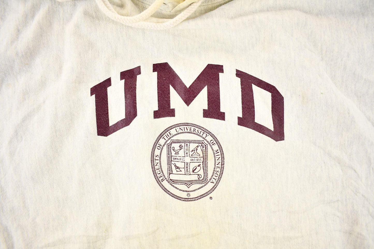 Vintage Y2K Champion Reverse Weave University Of Minnesota Hoodie Sweatshirt Men's XXL from propervintagecanada