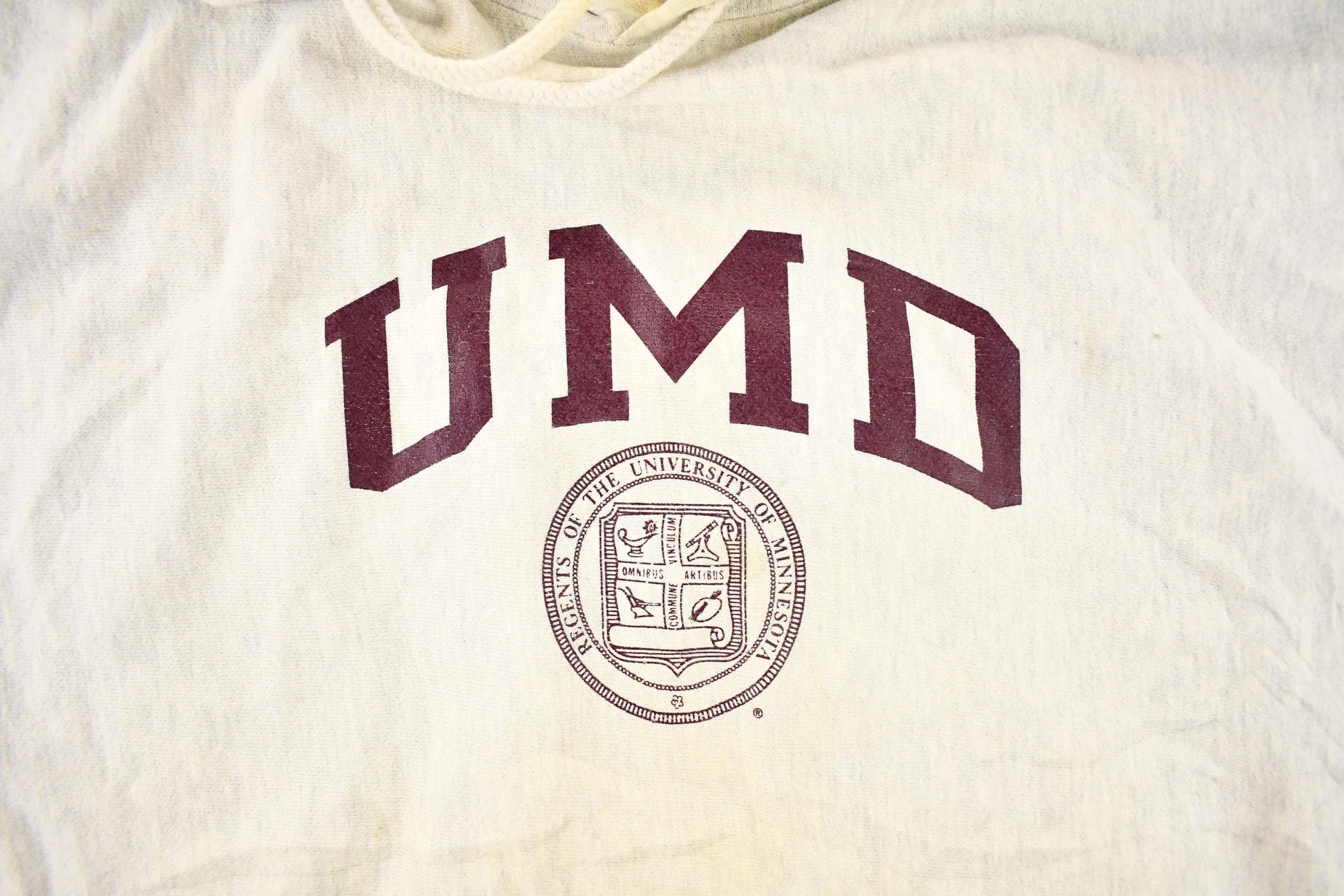 Vintage Y2K Champion Reverse Weave University Of Minnesota Hoodie Sweatshirt Men's XXL from propervintagecanada