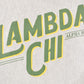 Vintage Y2K Lambda Chi Champion Reverse Weave Crewneck Sweatshirt Men's M / Script Logo / Eco Fleece / Minimalist / 2000s Blank from propervintagecanada