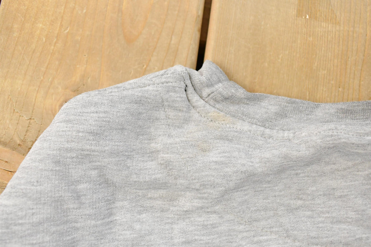 Vintage Y2K Nike Embroidered Mini Swoosh Crewneck Sweatshirt Men's Large from propervintagecanada