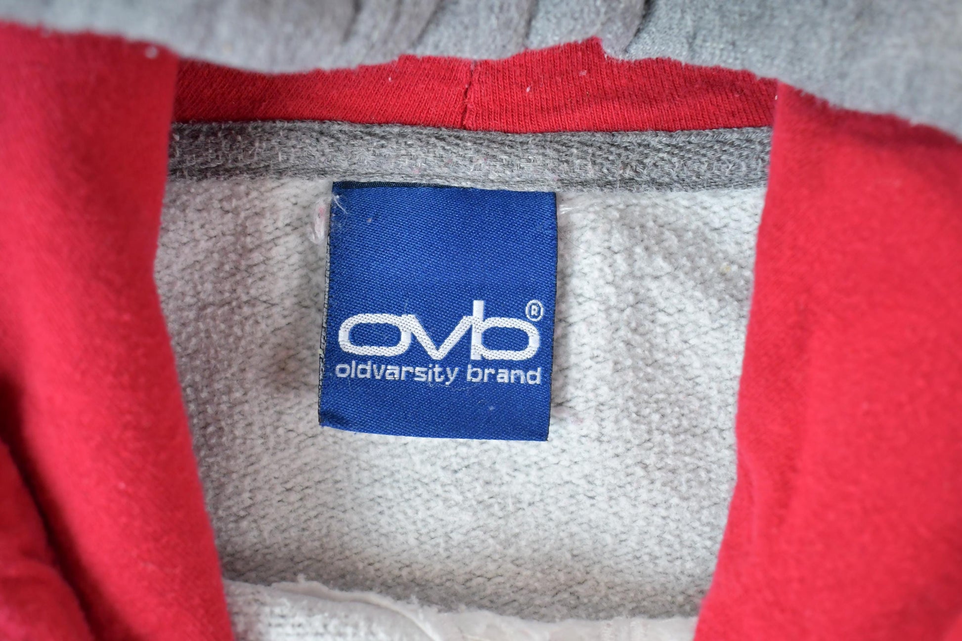 Vintage Y2K Ohio State University Buckeyes Collegiate Hoodie Men's XL from propervintagecanada