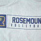 Vintage Y2K Rosemont Volleyball Champion Reverse Weave Hoodie Sweatshirt Men's Medium from propervintagecanada