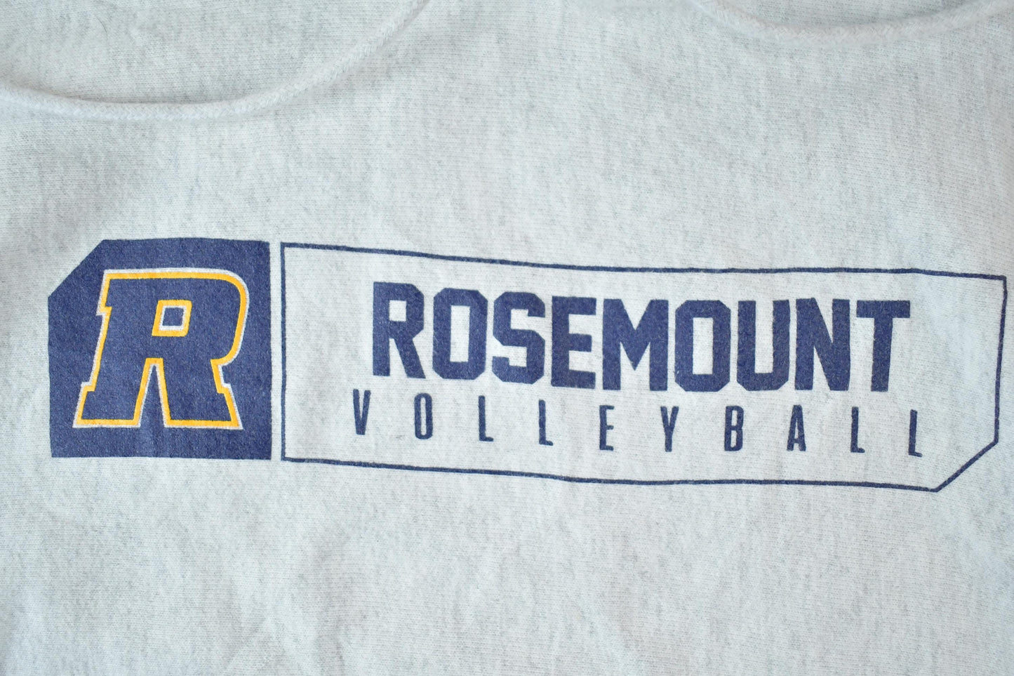 Vintage Y2K Rosemont Volleyball Champion Reverse Weave Hoodie Sweatshirt Men's Medium from propervintagecanada