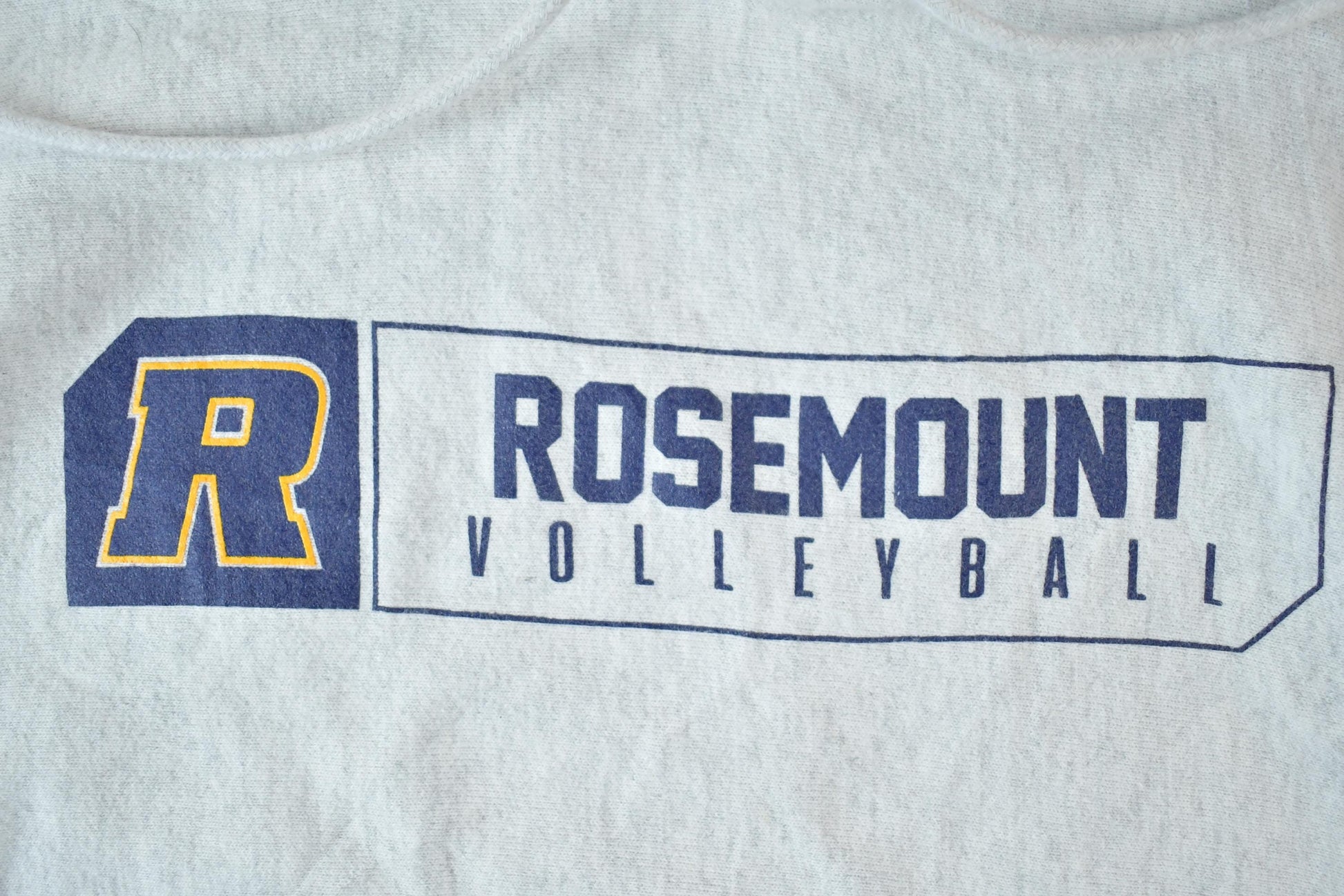 Vintage Y2K Rosemont Volleyball Champion Reverse Weave Hoodie Sweatshirt Men's Medium from propervintagecanada