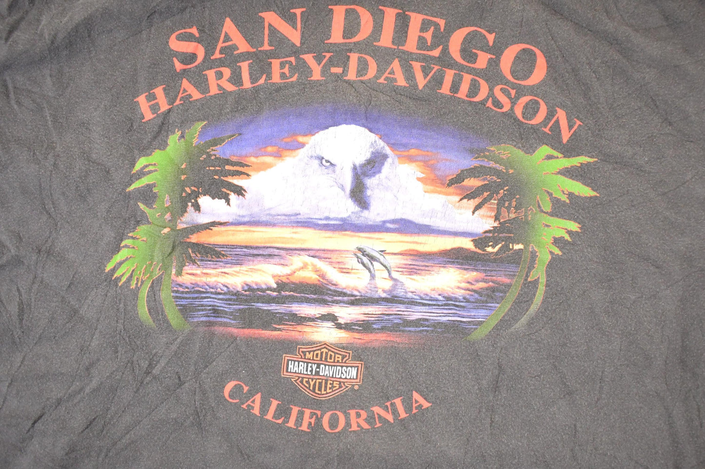 Vintage Y2K San Diego California Harley Davidson Motorcycles Biker T-Shirt Men's XL from propervintagecanada