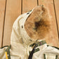 Vintage Y2K White Parasuco Tech Coyote Fur Trim Ski Jacket Men's Medium from propervintagecanada