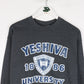 Vintage Yeshiva University Sweatshirt Mens Small Grey College from propervintagecanada