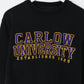Collegiate Sweatshirts & Hoodies Carlow University Sweatshirt Size Small