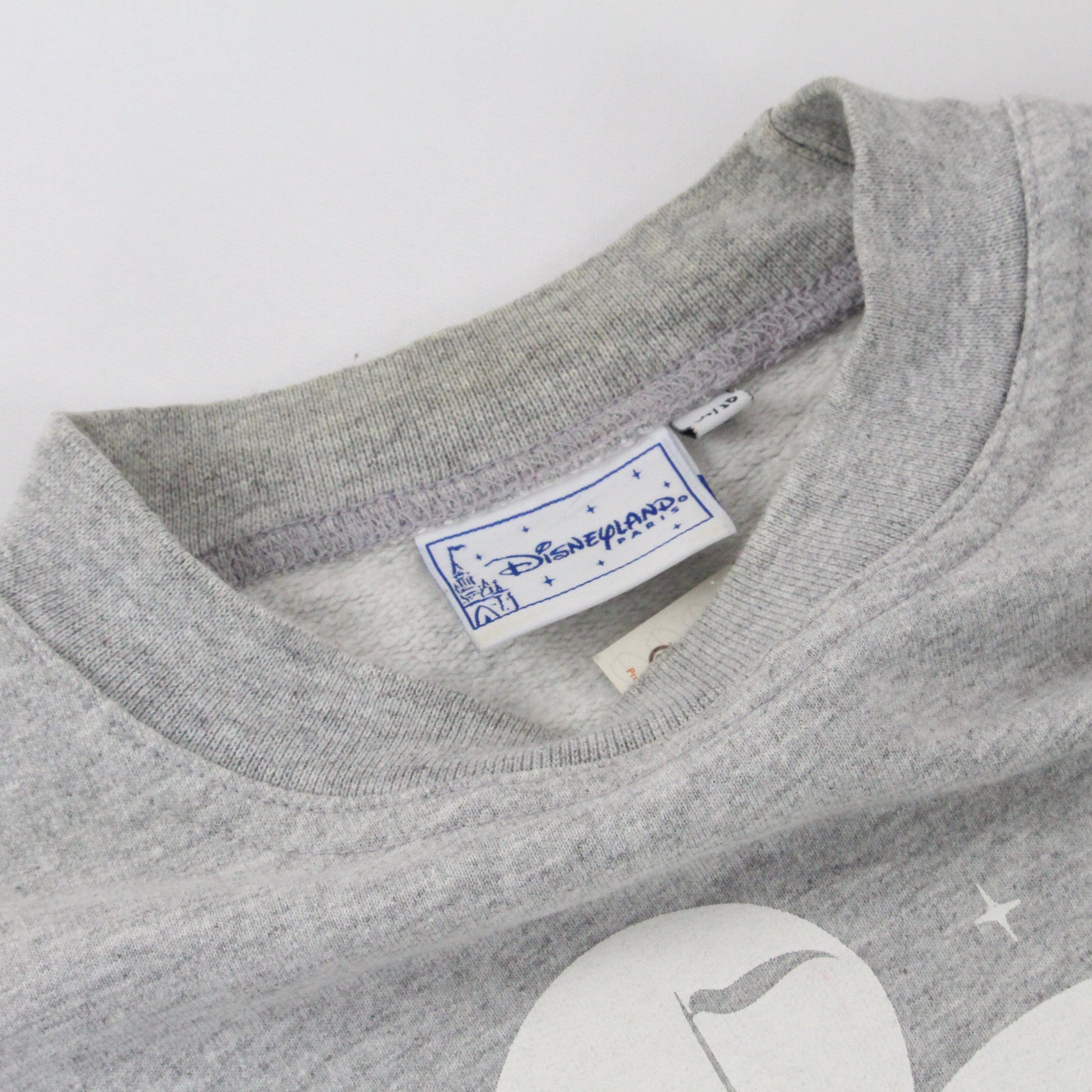 Disneyland Paris Sweatshirt Youth Size Large