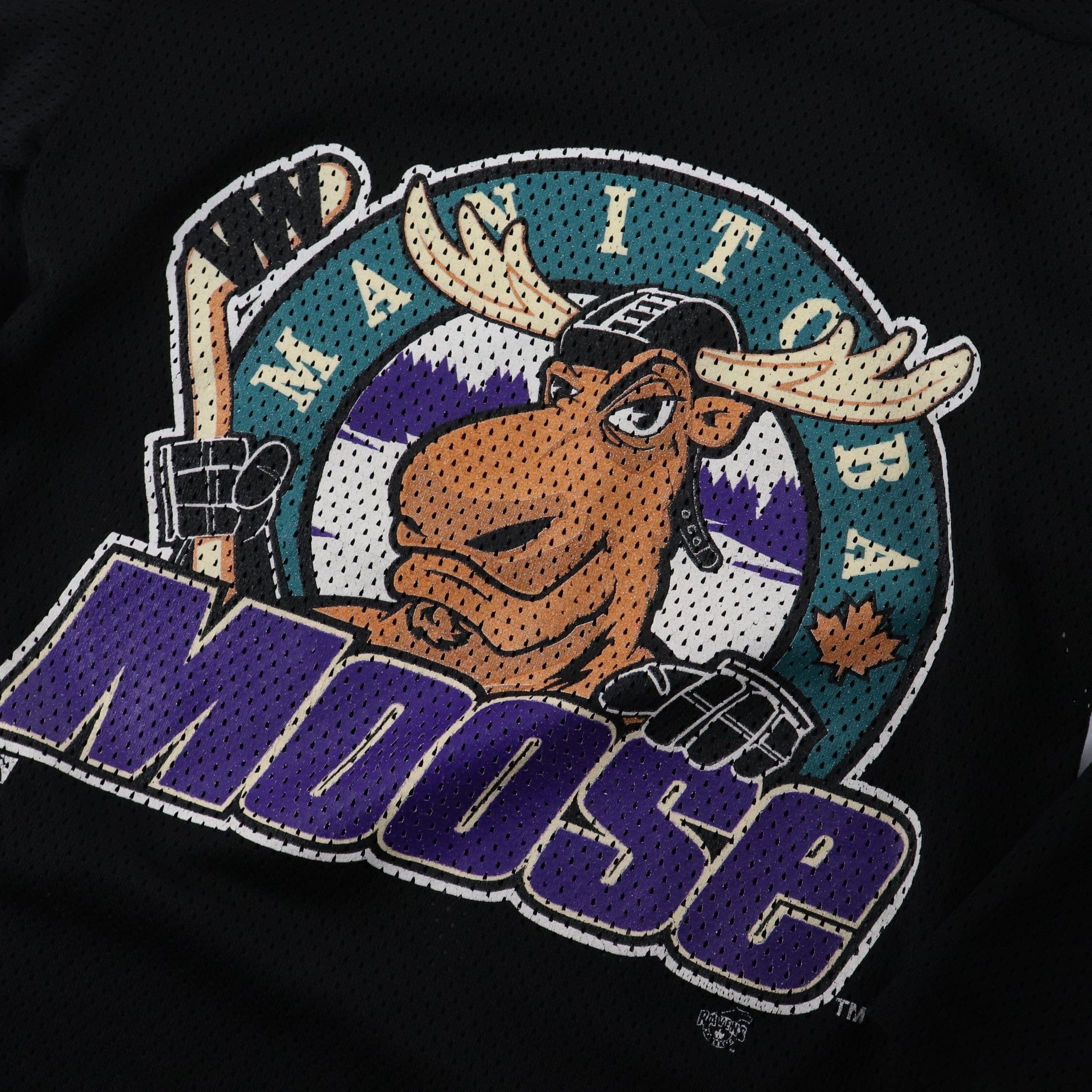 98-99 Manitoba Moose Hockey Jersey Size M