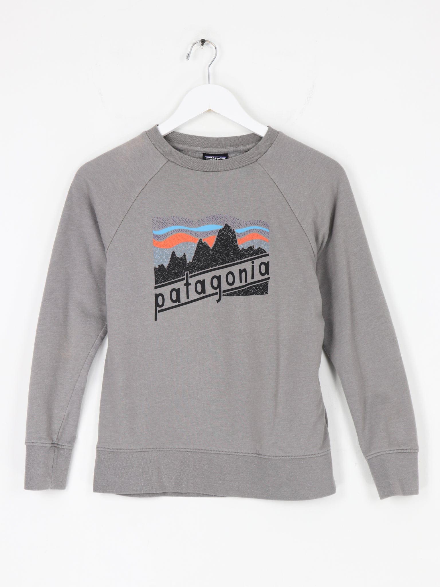 Patagonia Sweatshirts & Hoodies Patagonia Lightweight Sweatshirt Youth Size Medium
